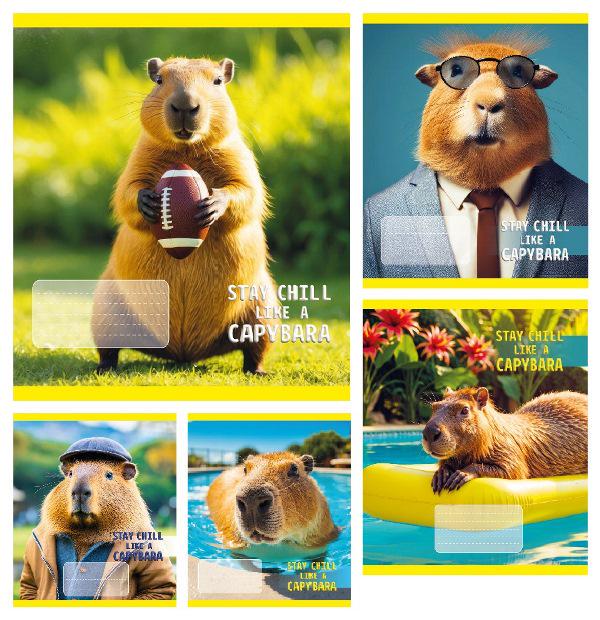 Зошити учнівські Тетрада CAPYBARA 24 аркуша клітинка 20 шт. в упаковці