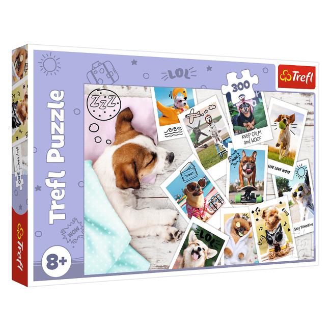 Пазлы Trefl Летние картинки из картона на 300 эл. Разноцветный (150-98-23003)