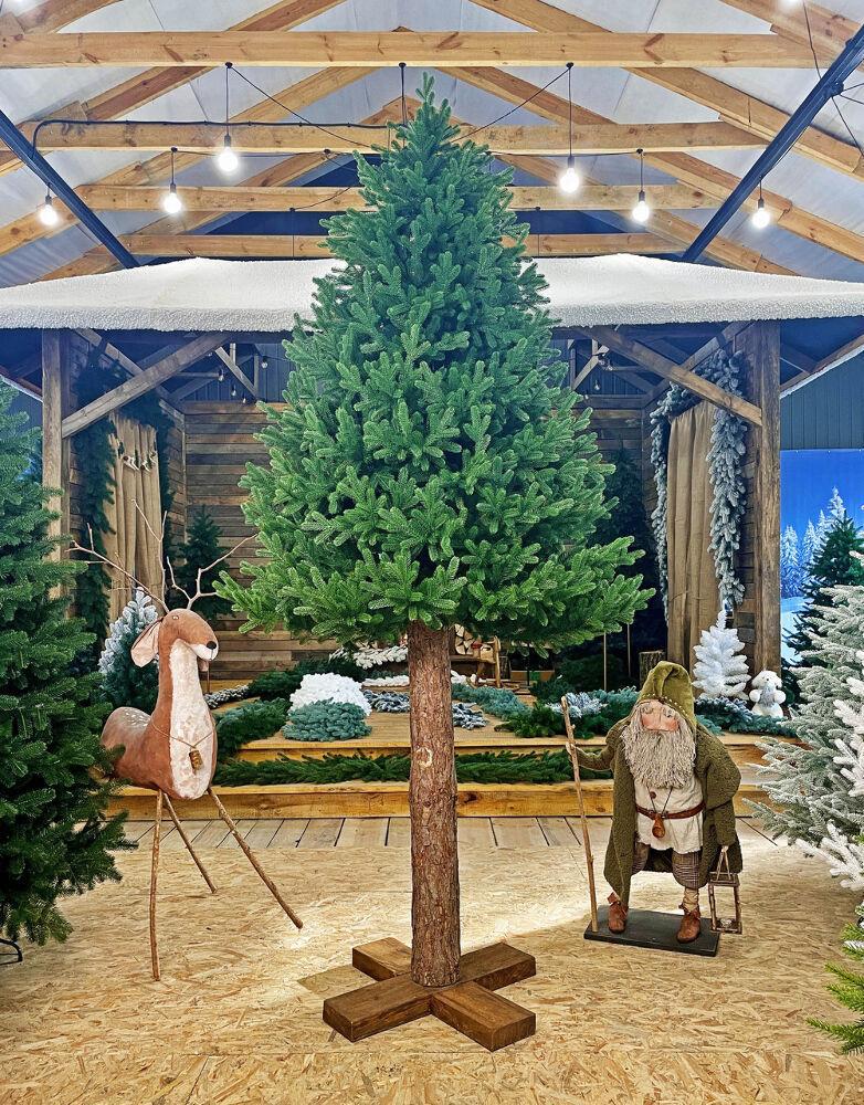 Ялинка лита Traditional з дерев'яним стовбуром 3 м Зелений (240/300/G)