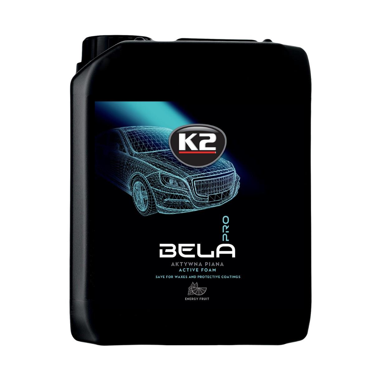 Пена для мытья активная K2 Bela Pro D0125 Энергия фруктов 5 л - фото 1