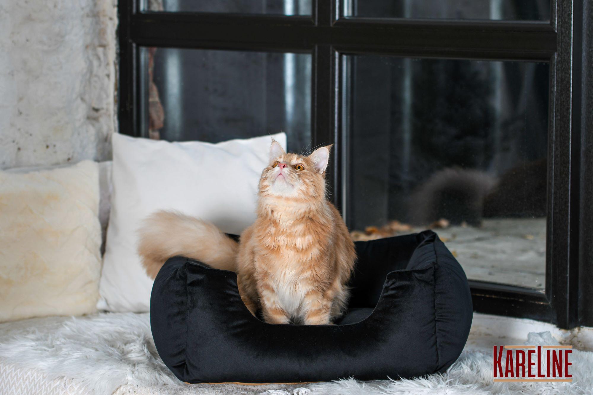 Лежанка для животных со съемным чехлом 54х40х16 см (30047/1) - фото 3 Лежанка для животных со съемным чехлом 54х40х16 см (30047/1) - фото 3