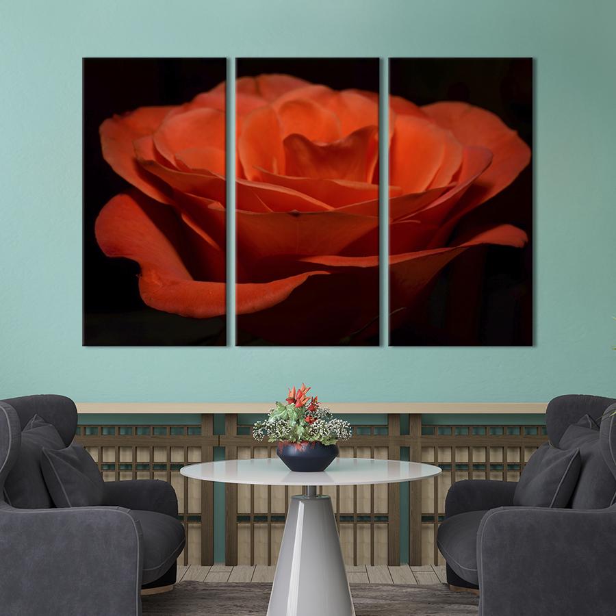 Картина на холсте триптих Нежная оранжевая роза 156x100 см (974-31)