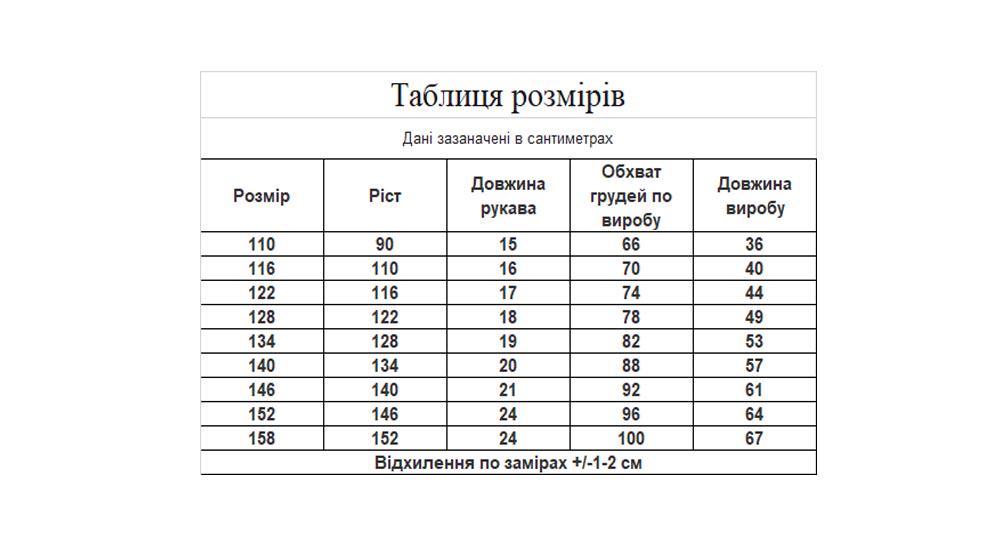 Вишиванка для хлопчика Вишиваночка р. 146 Білий (717-2к) - фото 5 Вишиванка для хлопчика Вишиваночка р. 146 Білий (717-2к) - фото 5