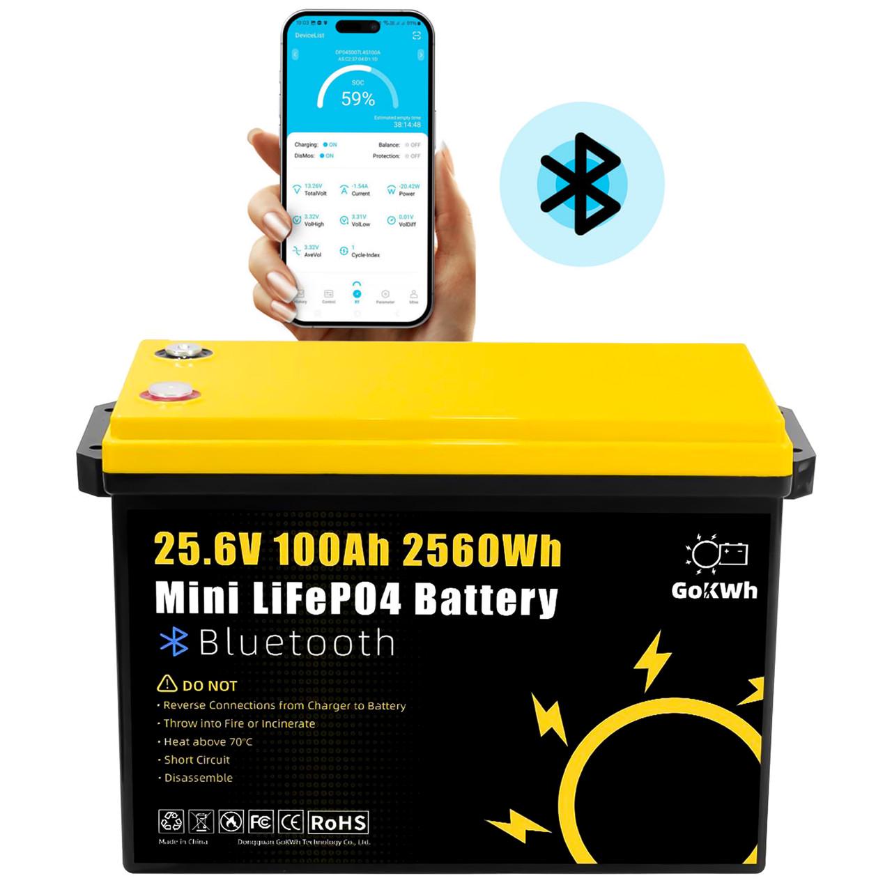 Аккумулятор литий-железо-фосфатный GoKWh 25,6V 100Ah LiFePo4 с Bluetooth и защитой BMS (AB2-BMS-3) - фото 5