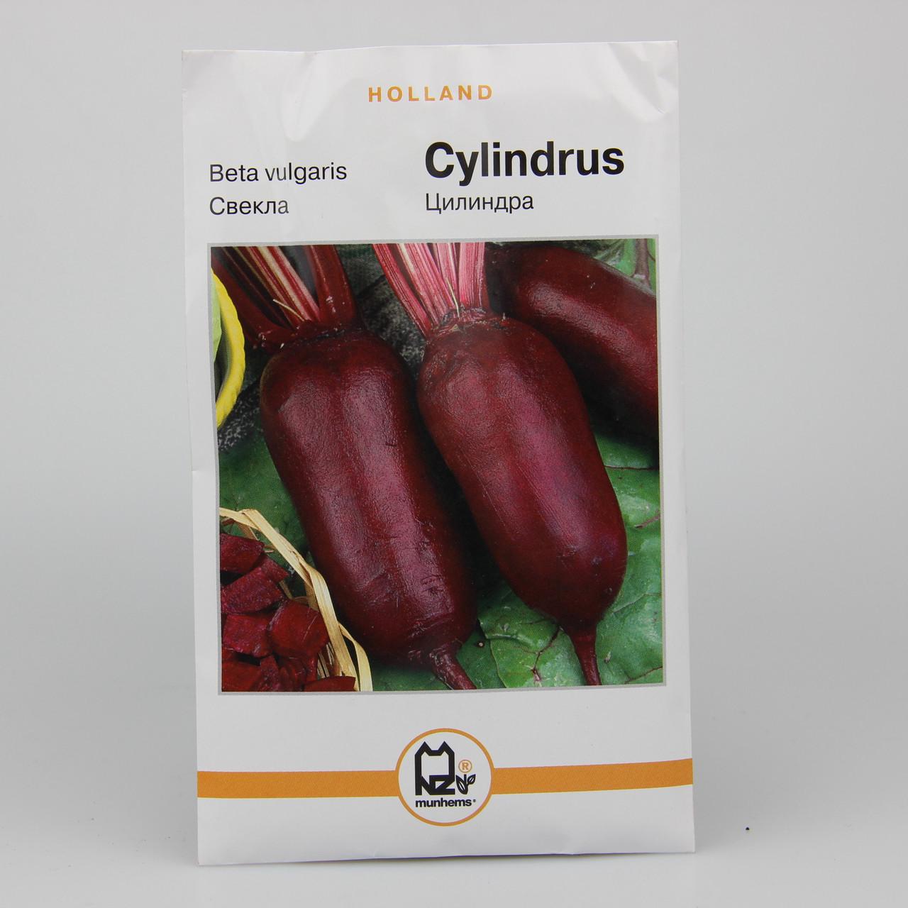 Семена свеклы Цилиндра Holland 10 г (26980)