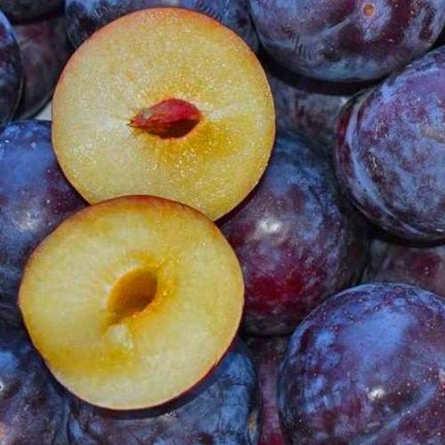Сажанец Слива диплоидная Блэк Амбер высокоурожайный крупноплодный сорт (39967)