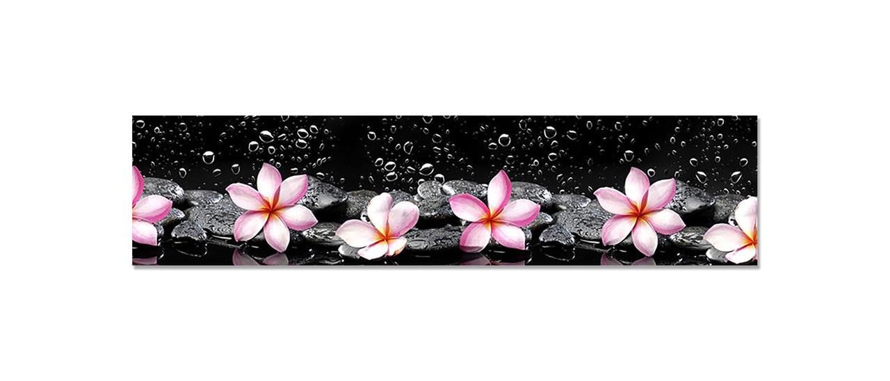 Наклейка виниловая на кухню Zatarga Розовые Цветы на Черном фоне 600х2500 мм (1294193364)