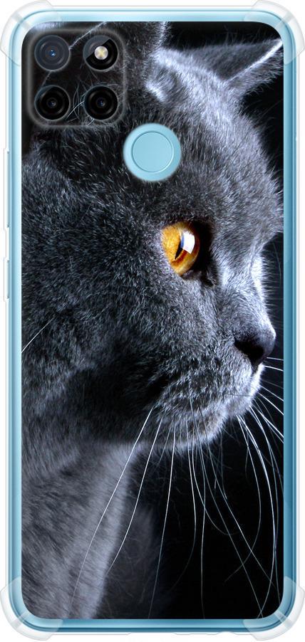 Чехол на Realme C21Y Красивый кот (3038sp-2472-42517)