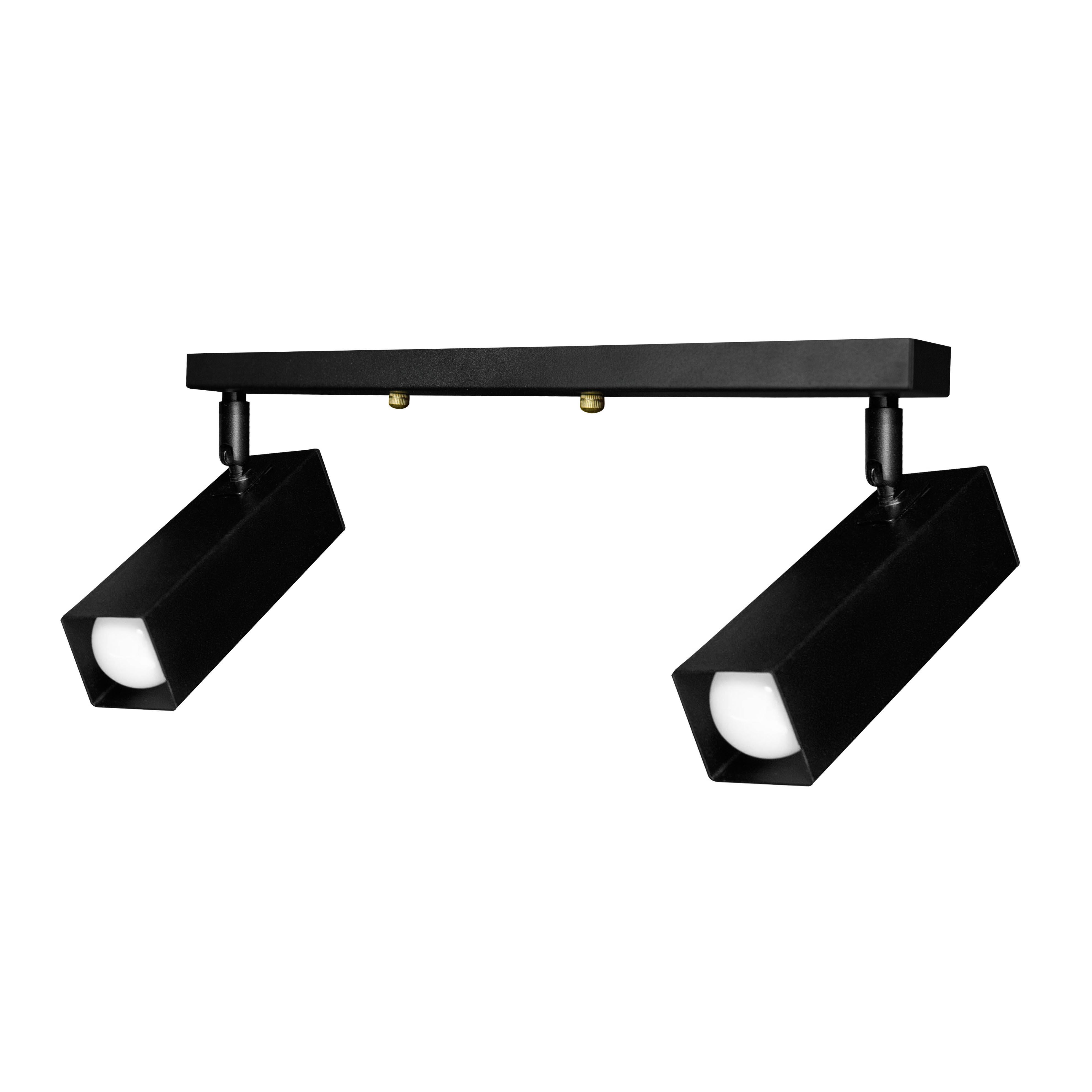 Спот MSK Electric с поворотными плафонами SQ 1750-2