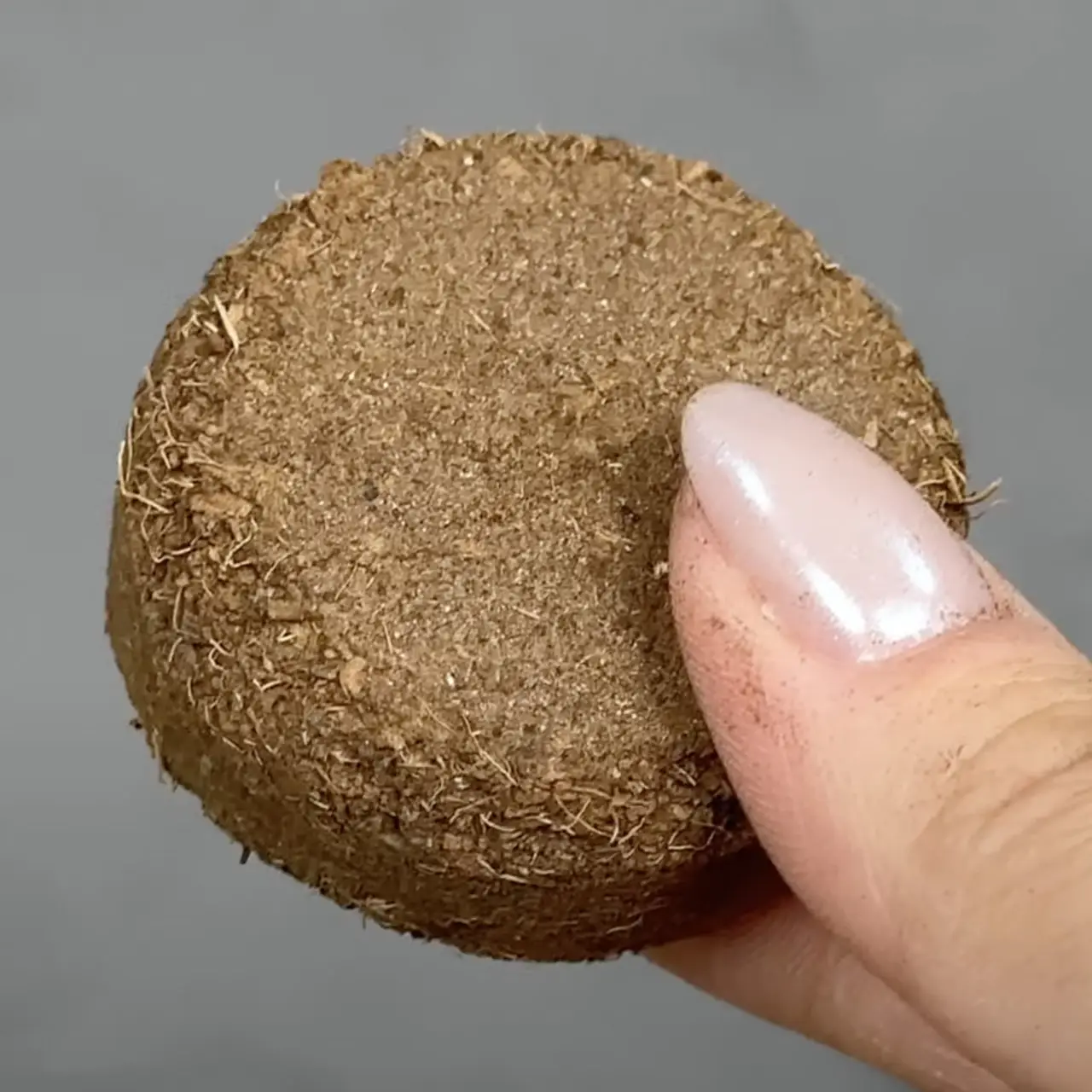 Ігровий набір Fun Game 78522 Ботанічні експерименти підставка/ґрунт/насіння/інструменти (2763976796) - фото 3 Ігровий набір Fun Game 78522 Ботанічні експерименти підставка/ґрунт/насіння/інструменти (2763976796) - фото 3