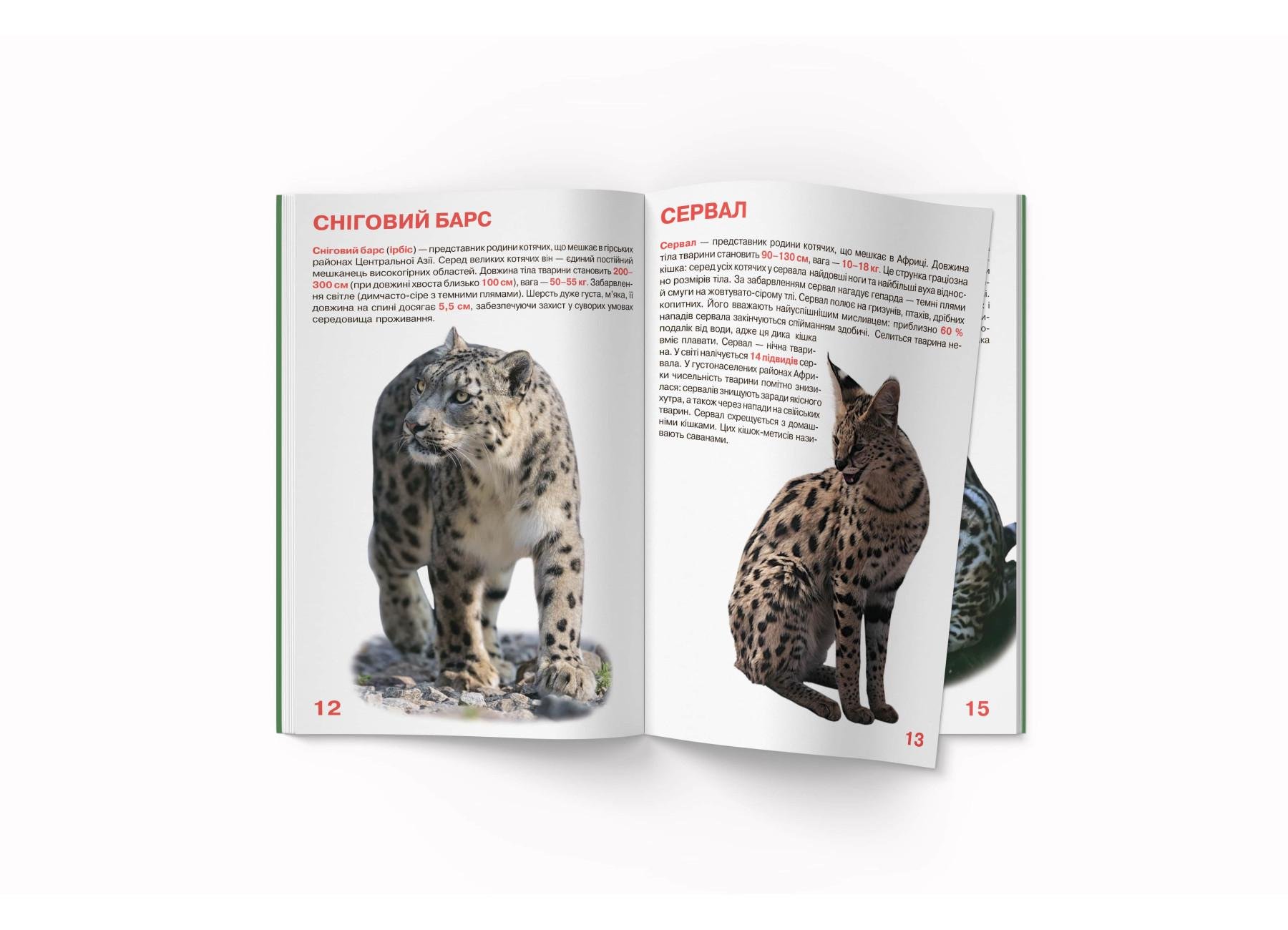 Большая книга Crystal Book "Дикі кішки" F00010886 (9786177268177) - фото 3