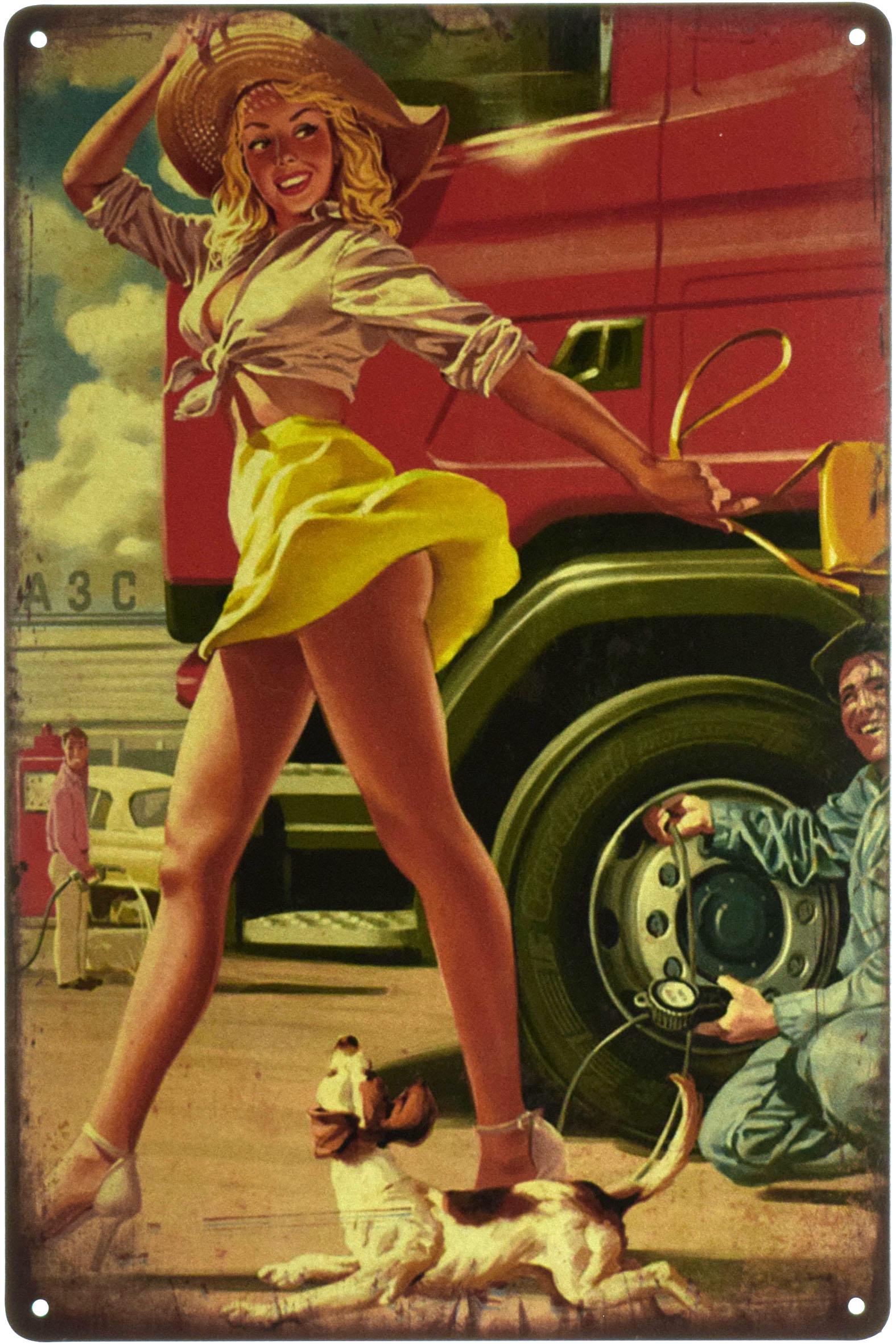 Табличка металлическая АЗС Pin Up 20x30 см