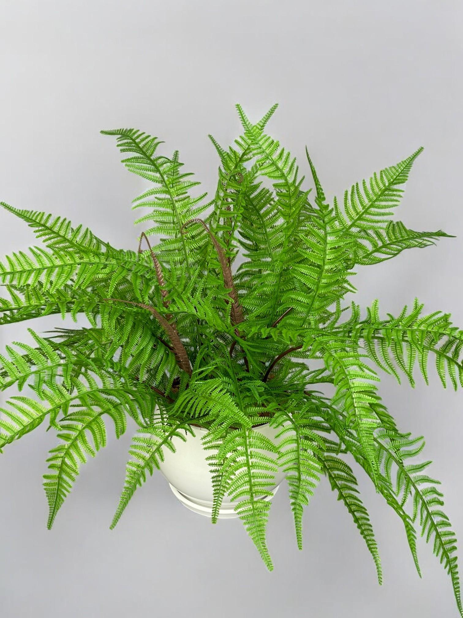 Композиция из искусственного папоротника в белом керамическом горшке Зеленый (А201) - фото 2 Композиция из искусственного папоротника в белом керамическом горшке Зеленый (А201) - фото 2