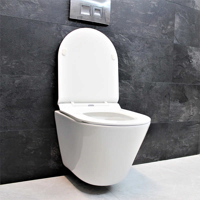ᐉ Інсталяція Grohe Rapid SL 38772001 з унітазом Dusel Teri/сидіння Slim ...