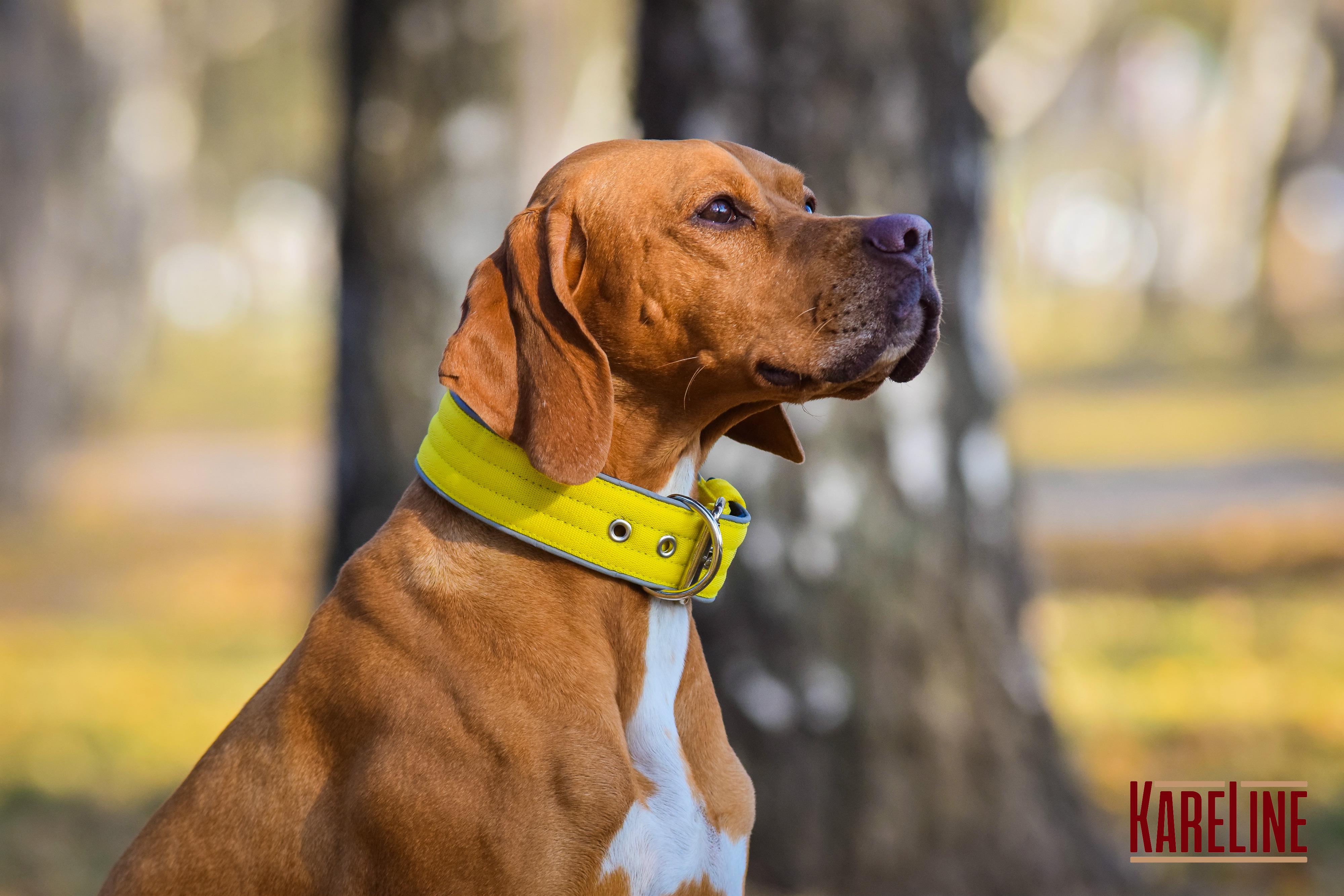 Ошейник KareLine усиленный нейлоновый со светоотражающим кантом 48 мм 550-640 мм Желтый (0957/8) - фото 2