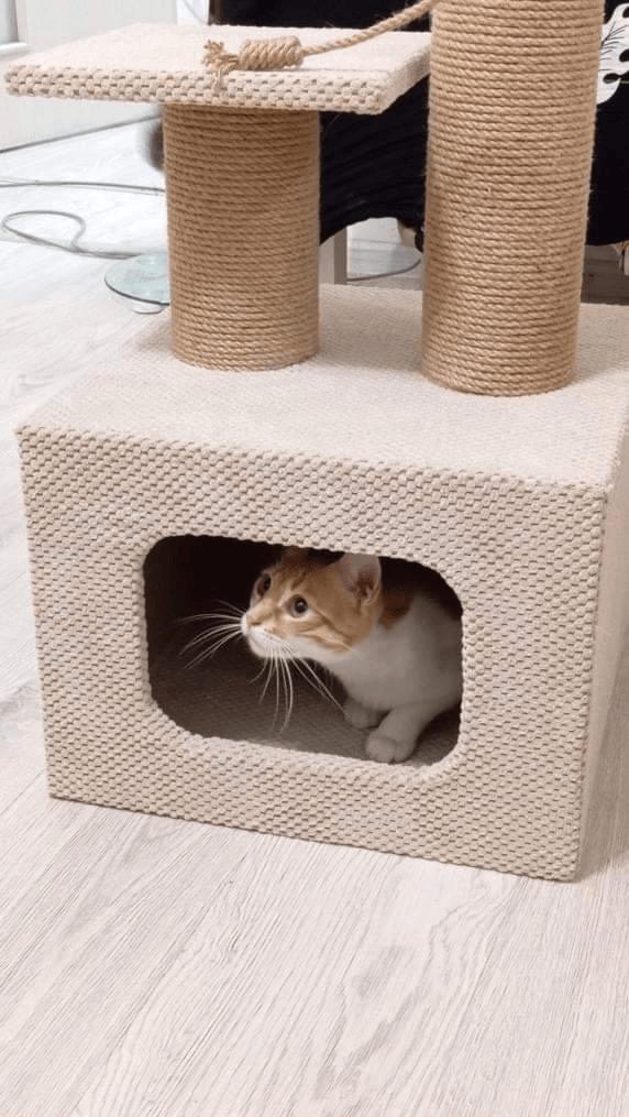 Домик когтеточка с двумя лежанками для кота 75х40х40 см Бежевый - фото 3 Домик когтеточка с двумя лежанками для кота 75х40х40 см Бежевый - фото 3