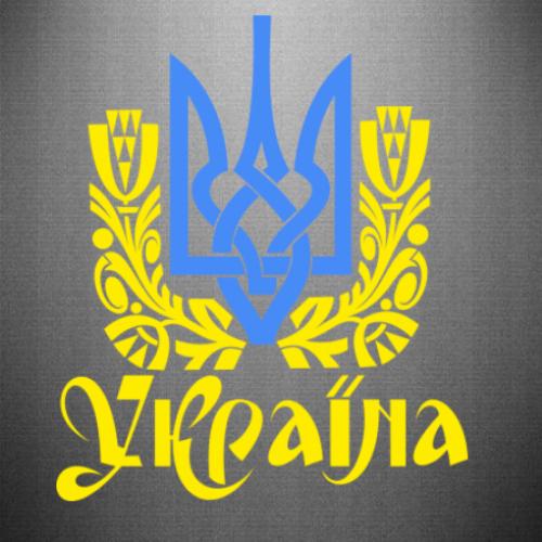 Наклейка Тризуб України 42,3x50 см Жовто-блакитний (21557915)