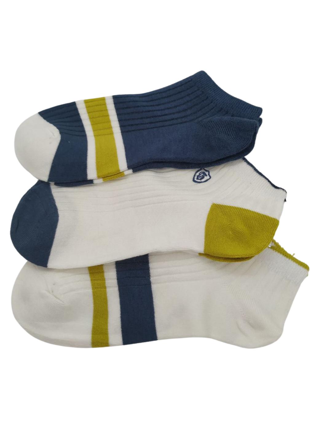 Набор носков мужских Convenient 903-01 р. 41-44 3 шт. Разноцветный (12562223) - фото 3