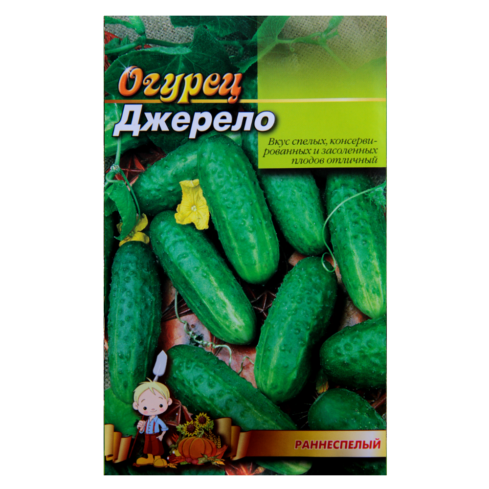 Семена огурца Источник раннеспелый 3 г (22798)