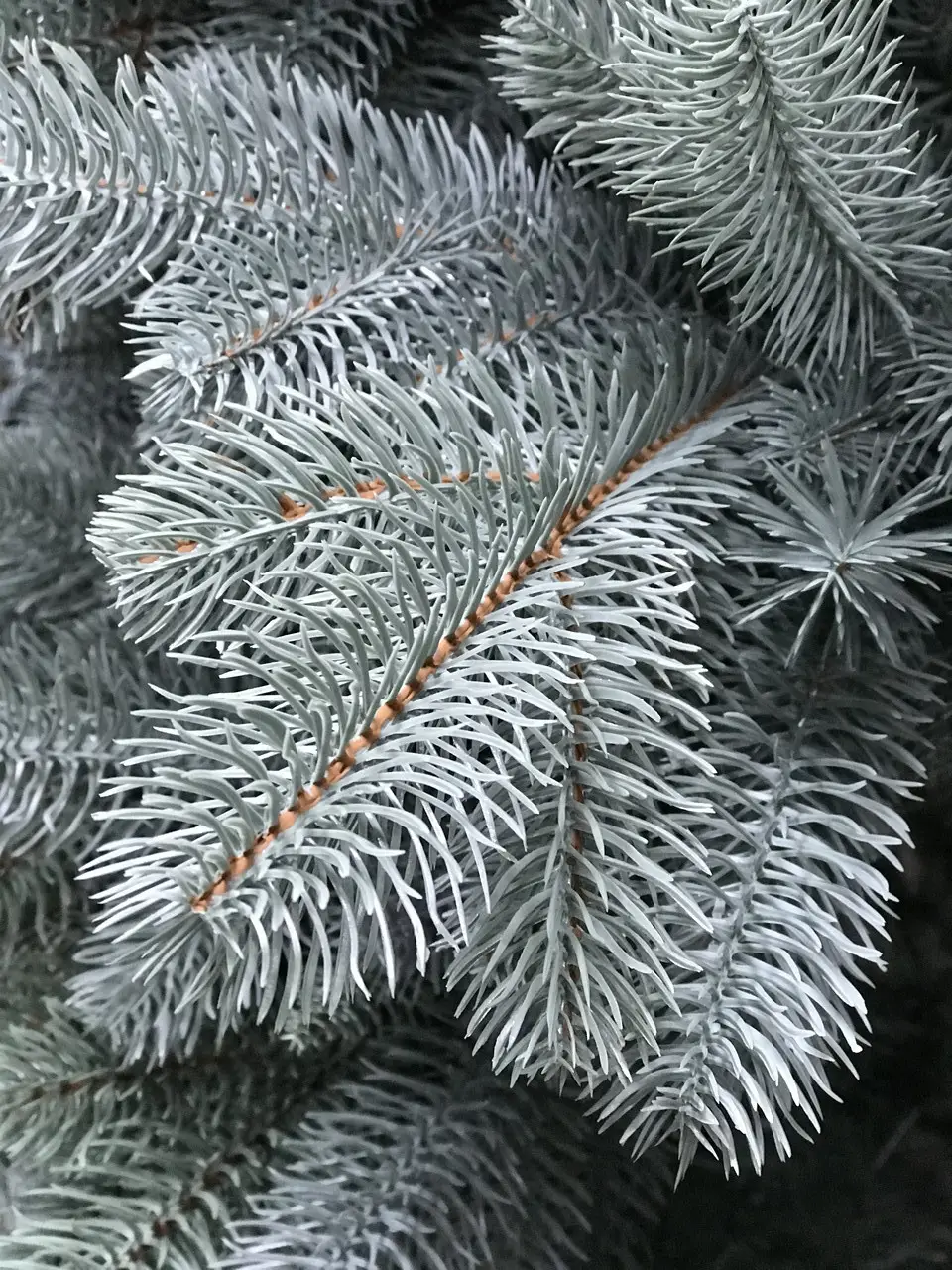 Ялинка лита Lux 2,6 м Блакитний (110/260/B) - фото 3 Ялинка лита Lux 2,6 м Блакитний (110/260/B) - фото 3