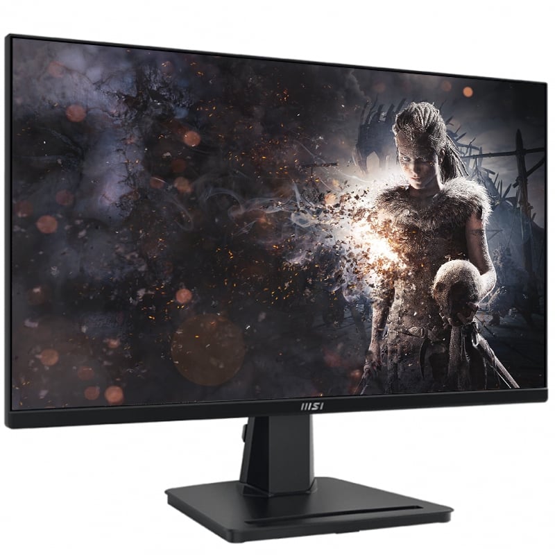 Монитор MSI PRO MP251 безрамочный IPS 1920x1080 Full HD 24,5" (tf6894) - фото 2 Монитор MSI PRO MP251 безрамочный IPS 1920x1080 Full HD 24,5" (tf6894) - фото 2