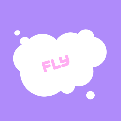 Fly