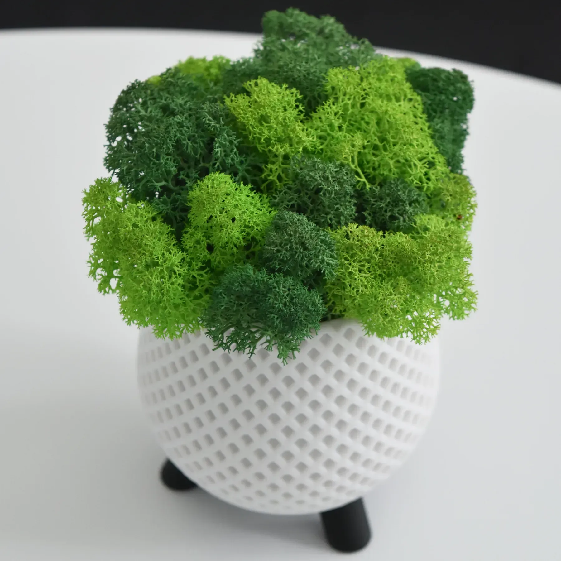 Кашпо Loft на чорних ніжках з стабілізованим мохом Білий/Зелений/Салатовий (KM-B-5) - фото 2 Кашпо Loft на чорних ніжках з стабілізованим мохом Білий/Зелений/Салатовий (KM-B-5) - фото 2