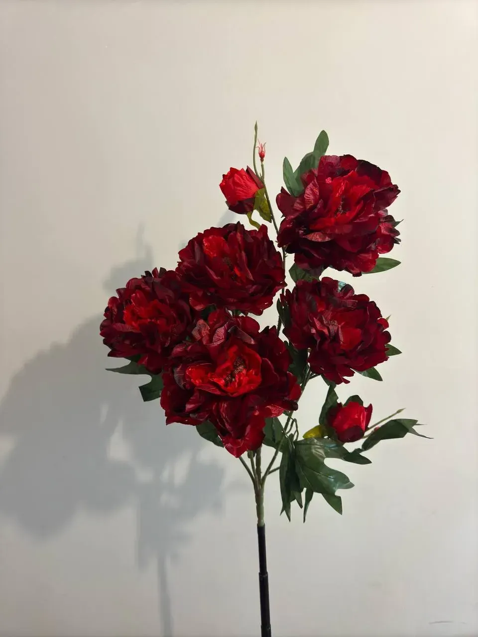 Штучний кущ півонії 5 квіток та 3 бутона з зеленню Темно-червоний (P0033)
