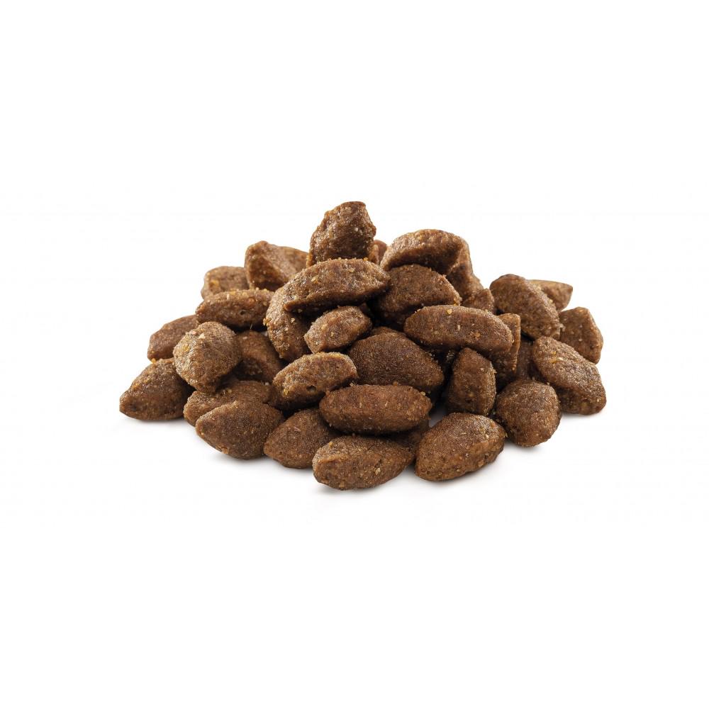 Корм сухий для собак з підвищеним фізичним навантаженням Brit Premium Sport 15 кг (170848/6673) - фото 2 Корм сухий для собак з підвищеним фізичним навантаженням Brit Premium Sport 15 кг (170848/6673) - фото 2