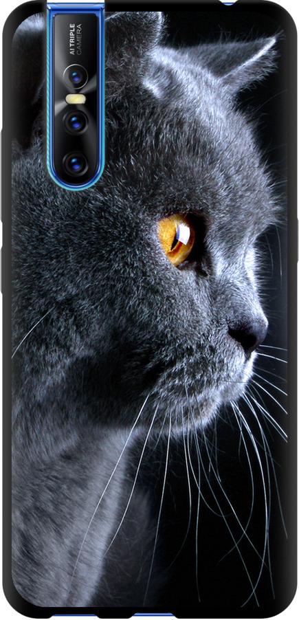 Чехол на Vivo V15 pro Красивый кот (3038b-1763-42517)