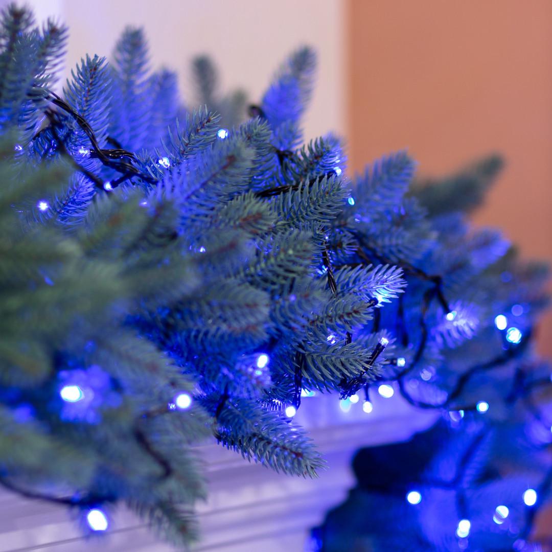 Гірлянда-нитка світлодіодна чорний провід 8 режимів роботина 161 LED лампочок 14 м Синій (2997) - фото 2 Гірлянда-нитка світлодіодна чорний провід 8 режимів роботина 161 LED лампочок 14 м Синій (2997) - фото 2