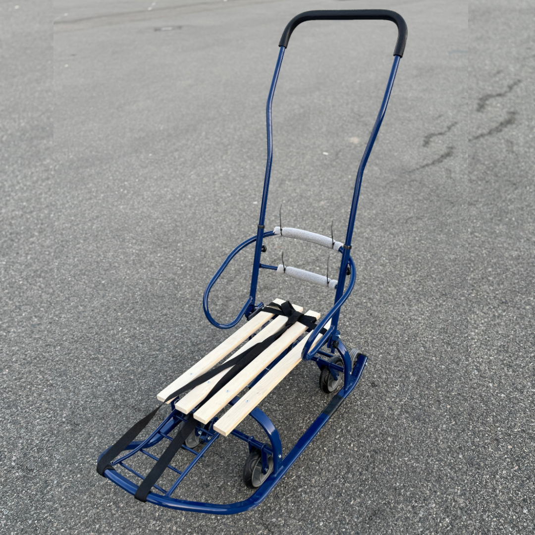 Санки-трансформер детские с колесами Патриот LUX 2026 Синий