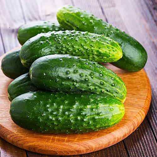 Семена Огірок Florium Октопус F1 (4912)