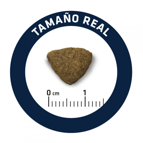 Корм сухий для дорослих собак середніх порід Advance Medium з куркою та рисом 14 кг - фото 2