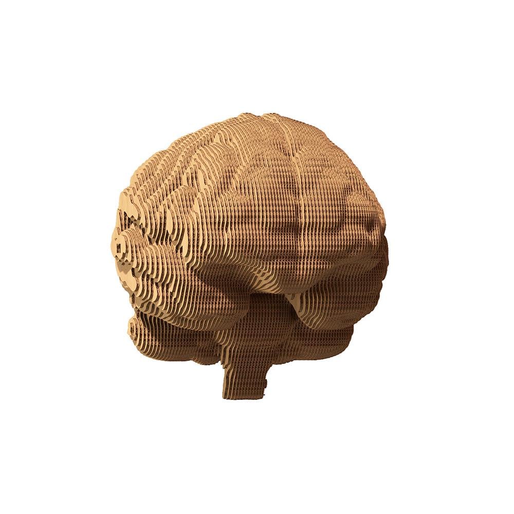 Конструктор картонный Cartonic 3D Puzzle Brain - фото 5