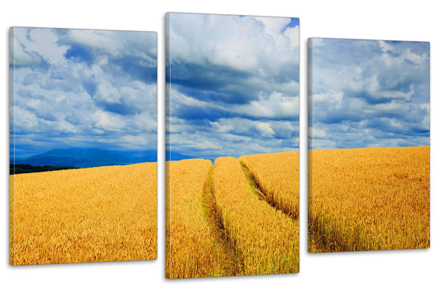 Картина модульная в гостиную/спальню Поле пшеницы 53х100 см (Art-678_3)