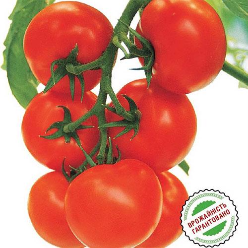 Семена Томат Florium Кристал F1 (4888) - фото 2