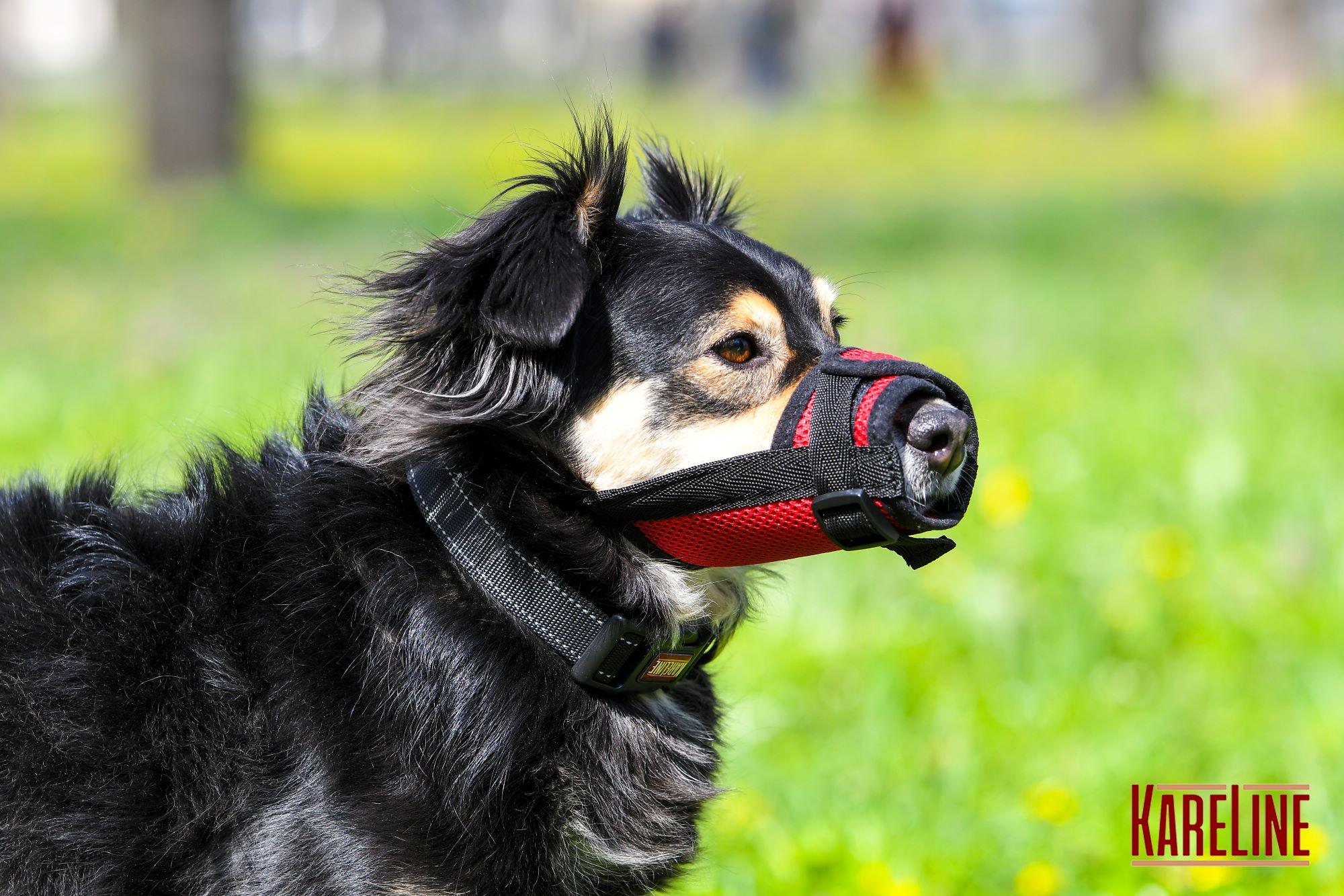 Намордник сетка KareLine из нейлона для йорка XXS (0530/6) - фото 6