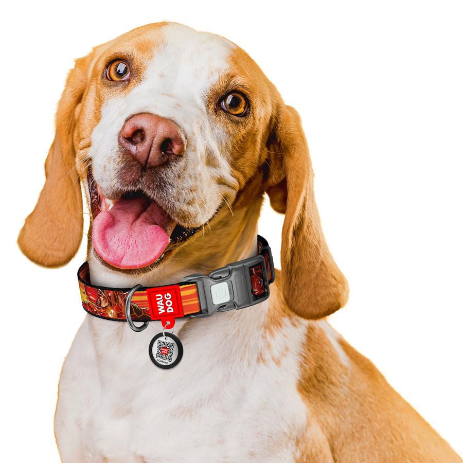 Ошейник для собак с QR-паспортом Waudog Nylon Скорость Флеша пластиковый фастекс S 15 мм 25-35 см Orange (280-1080) - фото 6 Ошейник для собак с QR-паспортом Waudog Nylon Скорость Флеша пластиковый фастекс S 15 мм 25-35 см Orange (280-1080) - фото 6