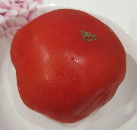 Семена помидоров Цветочек 30 шт. (2976635958)