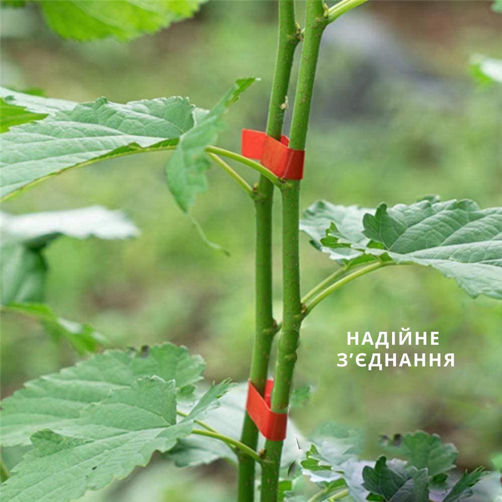 Степлер-тапенер cадовый Tapetool для подвязки растений инструмент-подвязыватель 10100 скоб с 4 лентами (14989860) - фото 6 Степлер-тапенер cадовый Tapetool для подвязки растений инструмент-подвязыватель 10100 скоб с 4 лентами (14989860) - фото 6