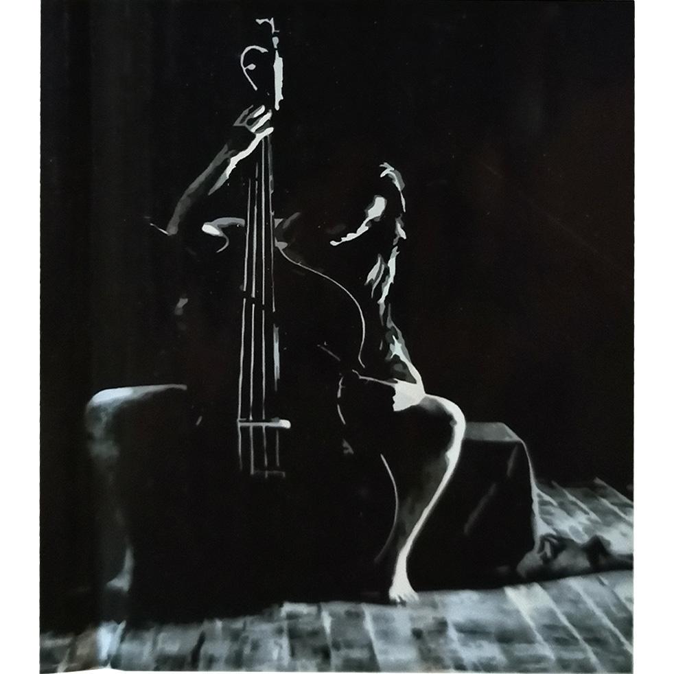 Картина за номерами Strateg Преміум Віолончель та музикантка 30x40 см (SS-6552)