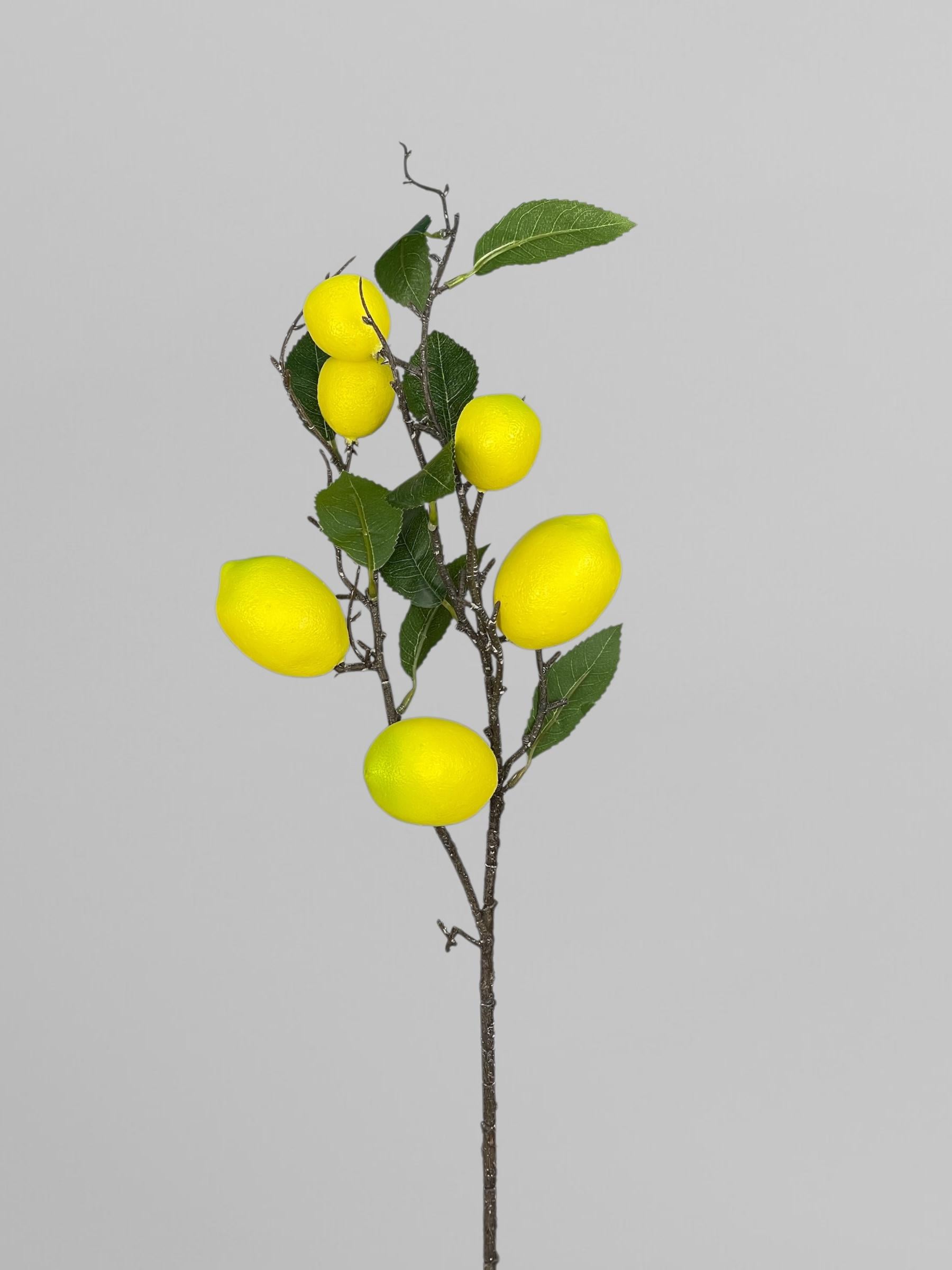 Фруктовая ветвь для декорирования фасадов 81 см 6 шт. Лимон (Р07009)