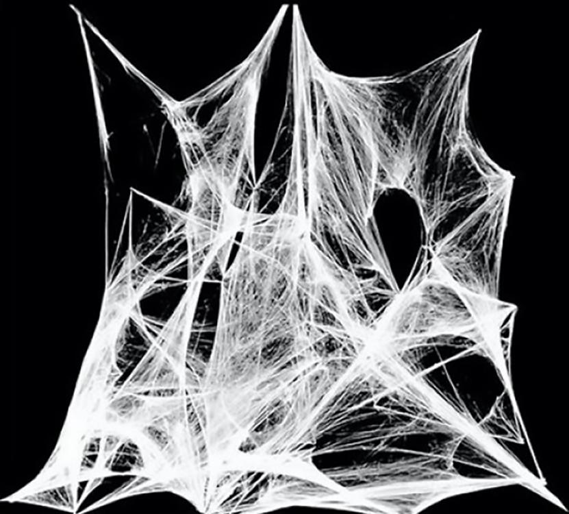 Декор для Хэлоуина Seta Паутина декоративная 20 г (11-245BLK)