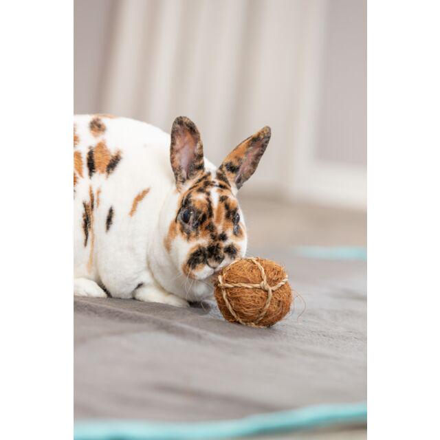 М'яч з кокосу Trixie для гризунів 6 см (TX-61813) - фото 2