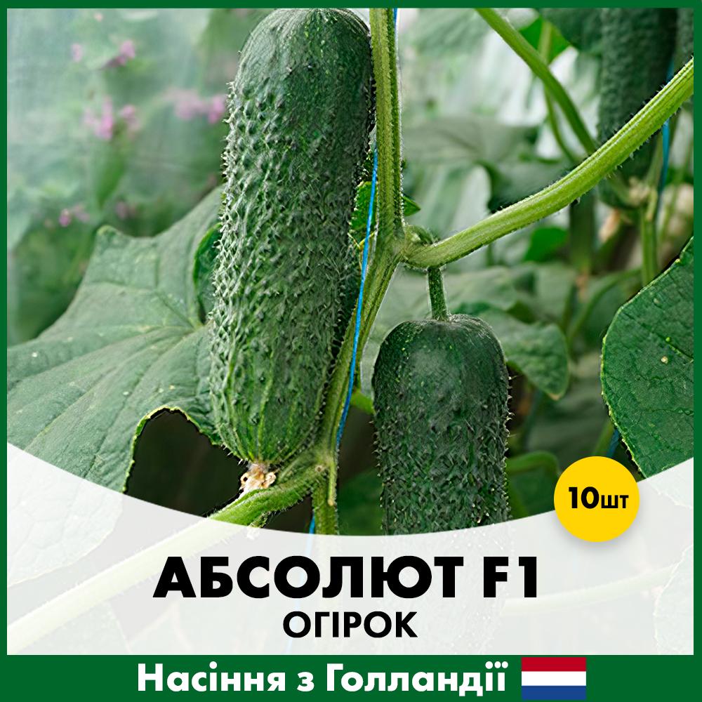 Семена огурца Bejo Абсолют F1 10 шт. (R30317)