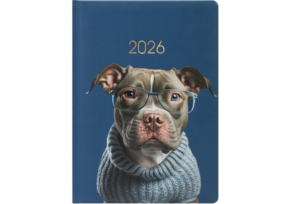 Дневник датированный 2026 Economix Color A5 336 стр. Разноцветный (E21840)