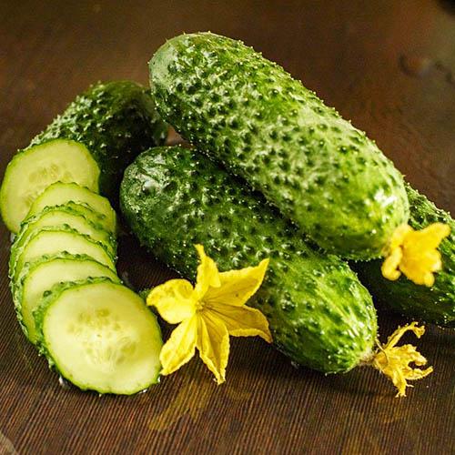 Насіння Огірок Florium Бочковий F1 (13982)