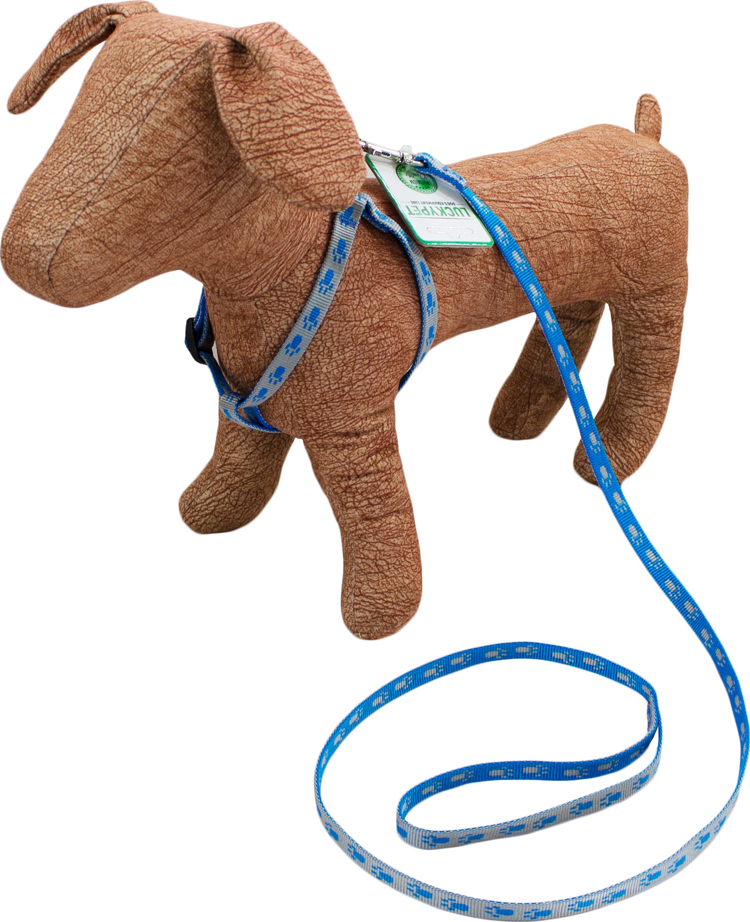 Комплект капроновый Lucky Pet Лапки 1/28-33/44-52 см Серый/Голубой (4820224219530)