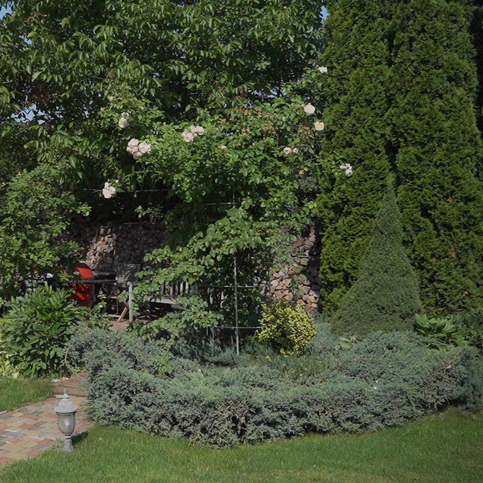 Опора для растений арочно-кольцевая на шесть колец 2800х700х700 мм (АКО-D16/D8-2800*700/6) - фото 10 Опора для растений арочно-кольцевая на шесть колец 2800х700х700 мм (АКО-D16/D8-2800*700/6) - фото 10